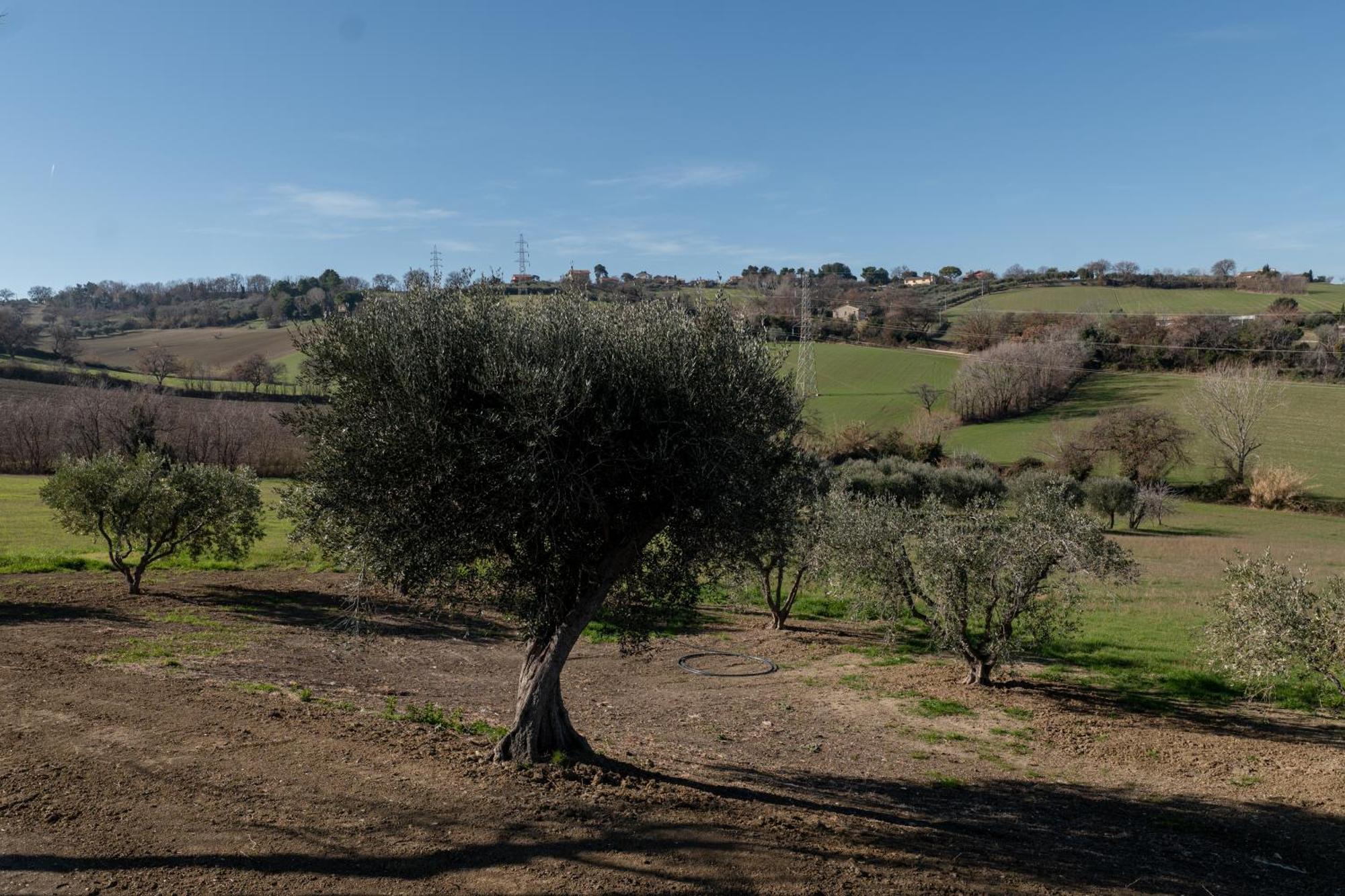 Casa Addis B&B Scapezzano Экстерьер фото